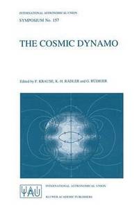 bokomslag The Cosmic Dynamo