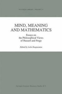 bokomslag Mind, Meaning and Mathematics