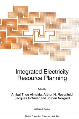 Almeida Anibal T de, Anibal T.De Almeida, etc. - Integrated Electricity Resource Planning, Inbunden