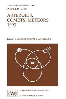 Asteroids, Comets, Meteors 1993 1