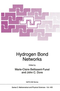 bokomslag Hydrogen Bond Networks