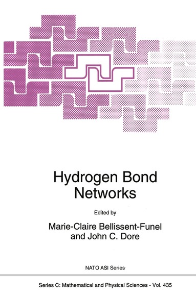 bokomslag Hydrogen Bond Networks