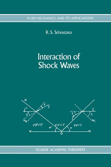 bokomslag Interaction of Shock Waves