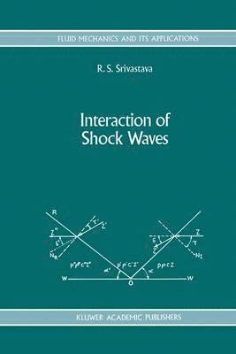 Interaction of Shock Waves 1