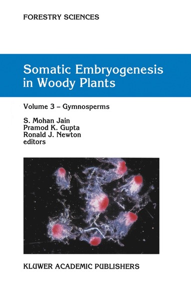 bokomslag Somatic Embryogenesis in Woody Plants