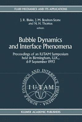 Bubble Dynamics and Interface Phenomena 1