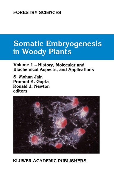 S. Mohan Jain, Pramod P.K. Gupta, R.J. Newton - Somatic Embryogenesis in Woody Plants, Inbunden