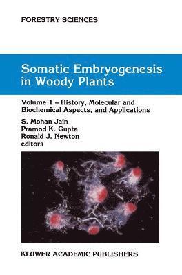 Somatic Embryogenesis in Woody Plants