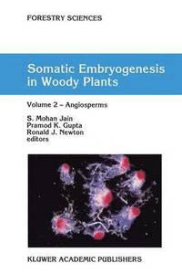 bokomslag Somatic Embryogenesis in Woody Plants