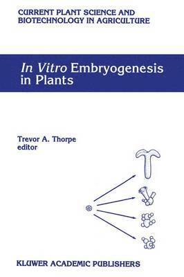 Trevor A. Thorpe, Trevor a. Thorpe - In Vitro Embryogenesis in Plants, Inbunden