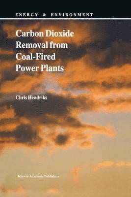 Carbon Dioxide Removal from Coal-Fired Power Plants 1