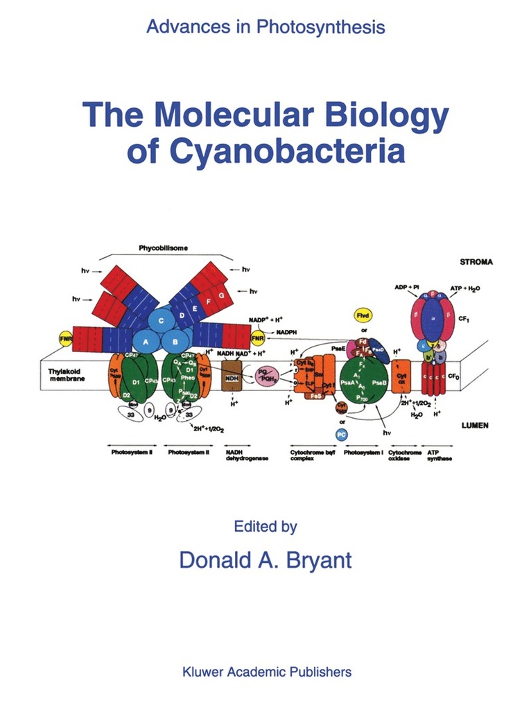 D.A. Bryant, D. a. Bryant, D. A. Bryant - Molecular Biology of Cyanobacteria, Häftad