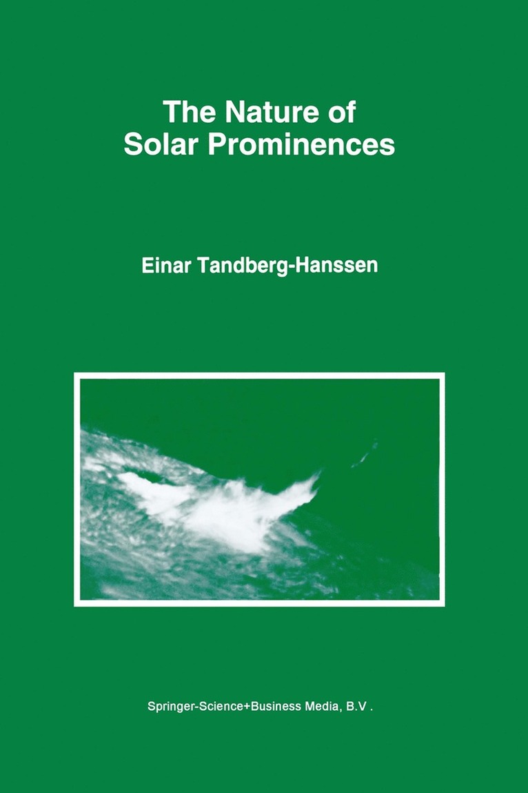 Nature of Solar Prominences
