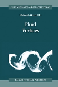 bokomslag Fluid Vortices