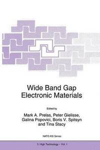 bokomslag Wide Band Gap Electronic Materials