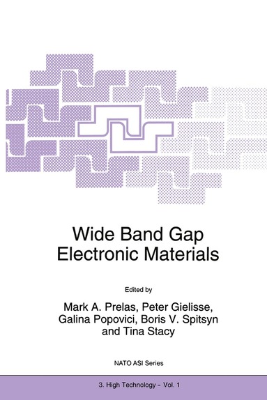 Mark A. Prelas, Peter Gielisse, Galina Popovici, Boris V. Spitsyn, Tina Stacy - Wide Band Gap Electronic Materials, Inbunden