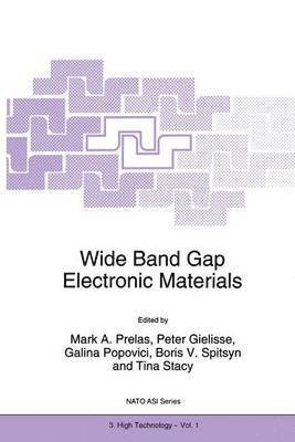 Wide Band Gap Electronic Materials 1