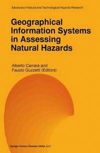 bokomslag Geographical Information Systems in Assessing Natural Hazards