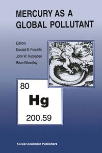 bokomslag Mercury as a Global Pollutant