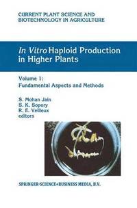 bokomslag In Vitro Haploid Production in Higher Plants