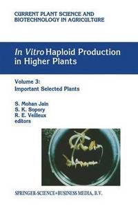 bokomslag In vitro Haploid Production in Higher Plants