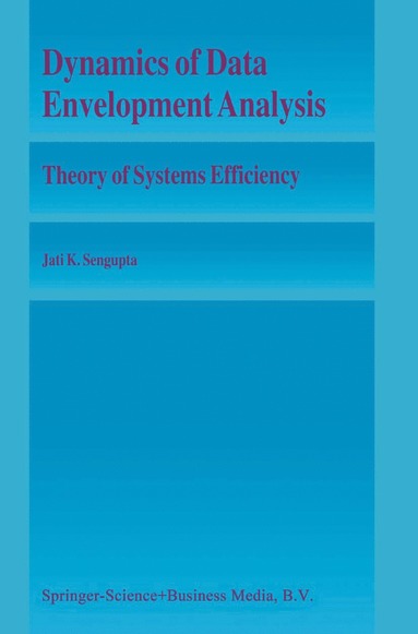 bokomslag Dynamics of Data Envelopment Analysis