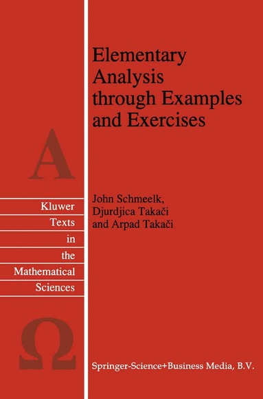 John Schmeelk, Djurdjica Takaci, Arpad Takaci - Elementary Analysis through Examples and Exercises, Inbunden