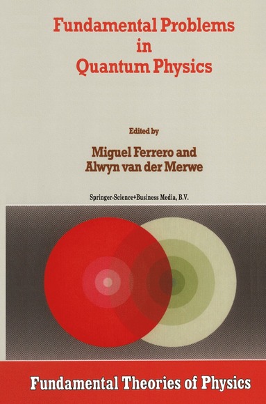 bokomslag Fundamental Problems in Quantum Physics