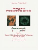 bokomslag Anoxygenic Photosynthetic Bacteria