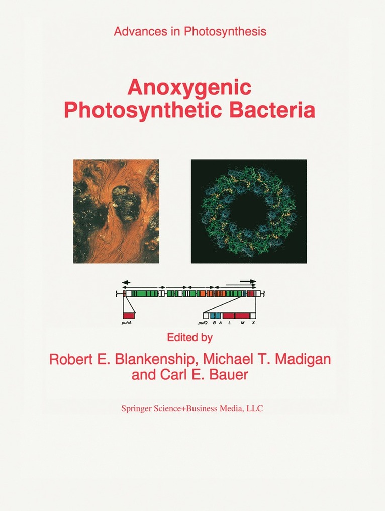 Anoxygenic Photosynthetic Bacteria 1