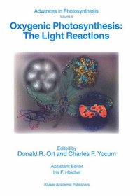 bokomslag Oxygenic Photosynthesis: The Light Reactions