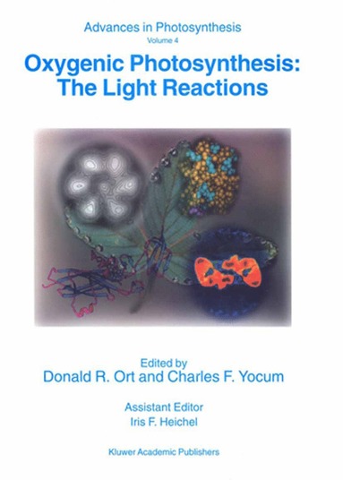 bokomslag Oxygenic Photosynthesis: The Light Reactions