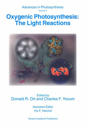 Donald R. Ort, Charles F. Yocum - Oxygenic Photosynthesis: The Light Reactions, Häftad