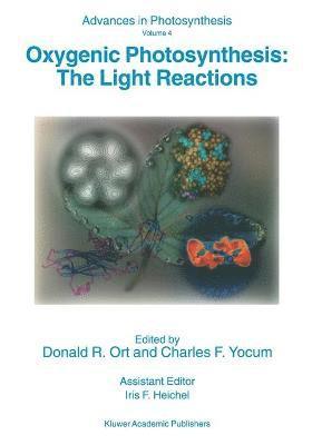 Oxygenic Photosynthesis: The Light Reactions 1