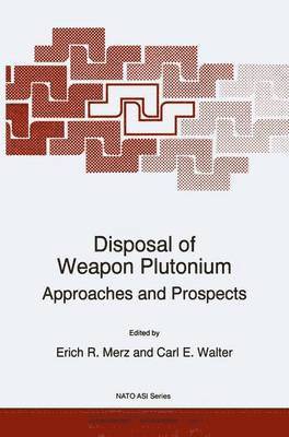 Disposal of Weapon Plutonium 1