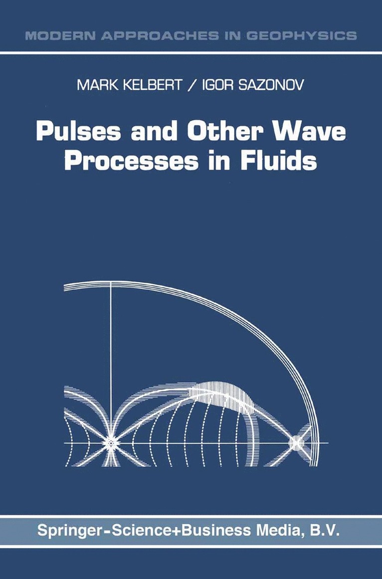 Pulses and Other Wave Processes in Fluids 1