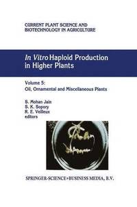 bokomslag In Vitro Haploid Production in Higher Plants