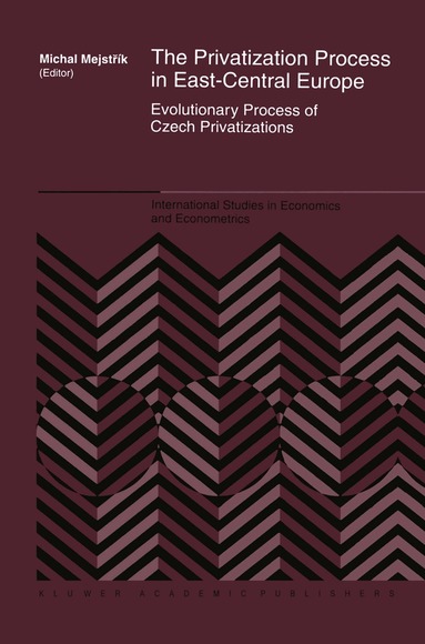 Michal Mejstrík - Privatization Process in East-Central Europe, Inbunden