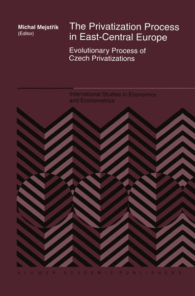 bokomslag Privatization Process in East-Central Europe