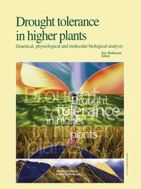 bokomslag Drought Tolerance in Higher Plants: Genetical, Physiological and Molecular Biological Analysis