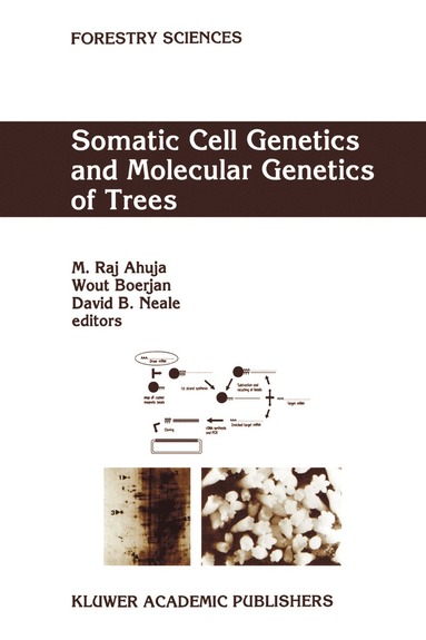 bokomslag Somatic Cell Genetics and Molecular Genetics of Trees