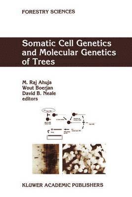 M.R. Ahuja, Wout Boerjan, David B. Neale, M. R. Ahuja - Somatic Cell Genetics and Molecular Genetics of Trees, Inbunden