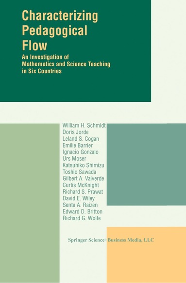 W.H. Schmidt - Characterizing Pedagogical Flow, Häftad