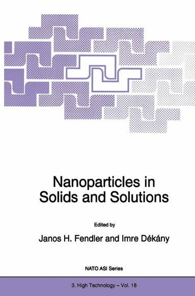 bokomslag Nanoparticles in Solids and Solutions