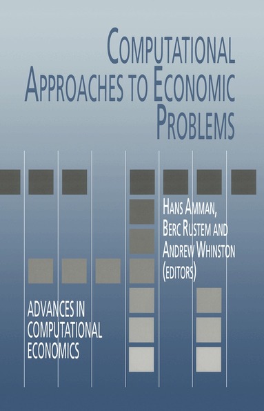 Hans Amman, Berc Rustem, Hans M. Amman, B. Rustem, Andrew B. Whinston - Computational Approaches to Economic Problems, Inbunden