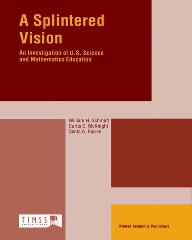 W.H. Schmidt, Curtis C. McKnight, S. Raizen - Splintered Vision, Häftad