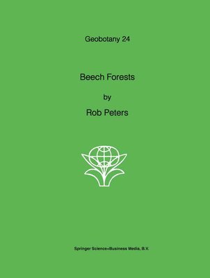 Beech Forests 1