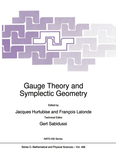 bokomslag Gauge Theory and Symplectic Geometry