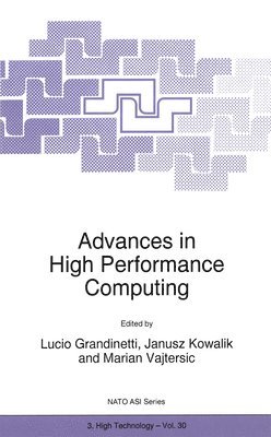 bokomslag Advances in High Performance Computing