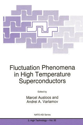bokomslag Fluctuation Phenomena in High Temperature Superconductors